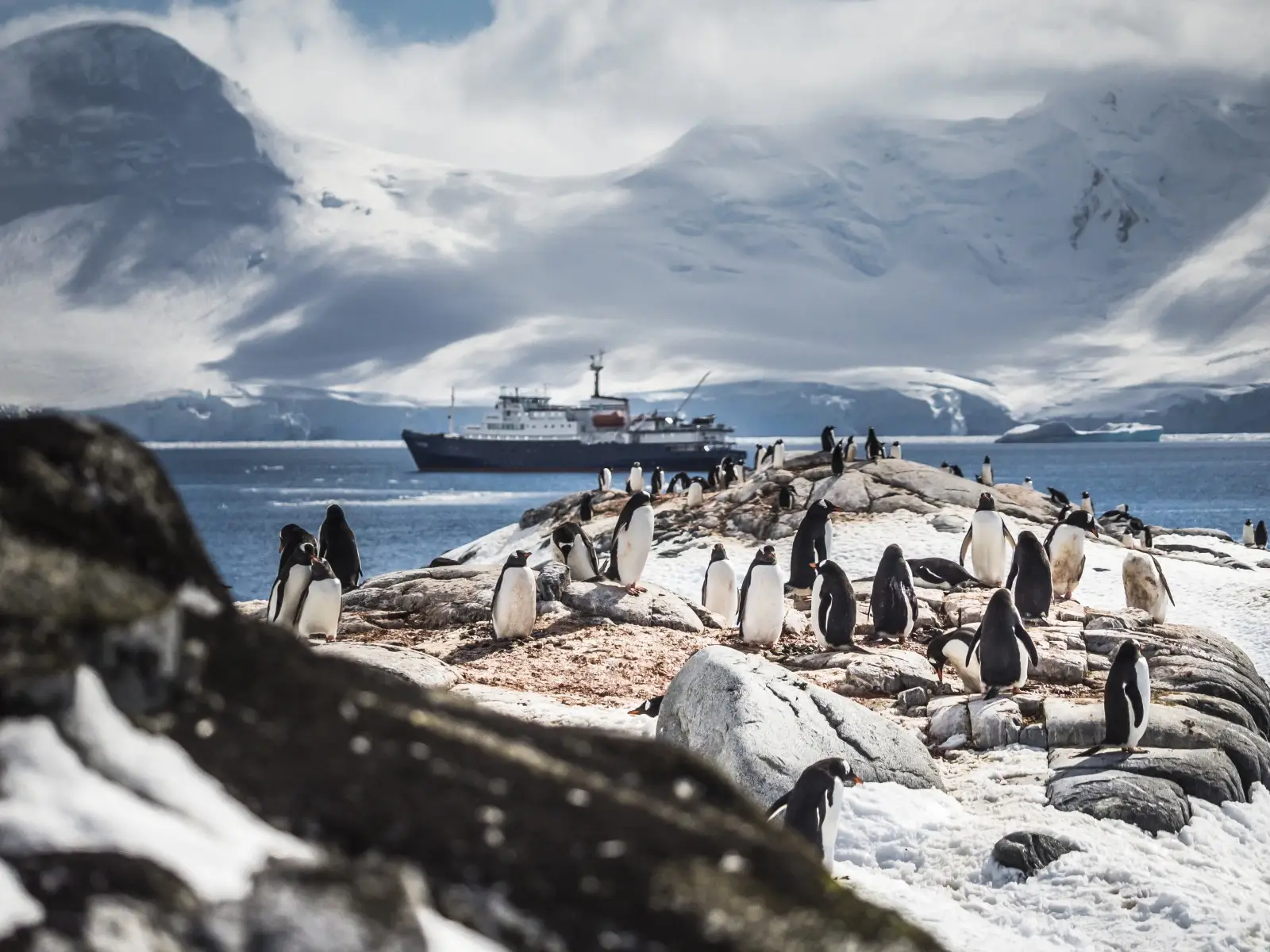 Antarctica